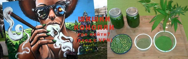 spice Алексеевка