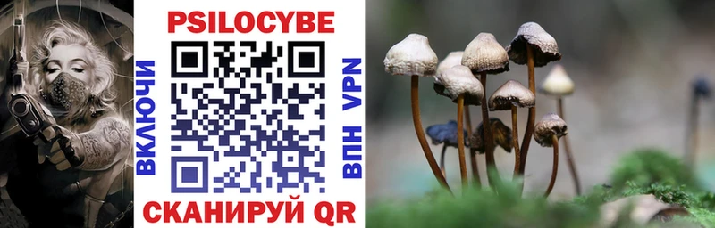 Псилоцибиновые грибы GOLDEN TEACHER  Балашов 